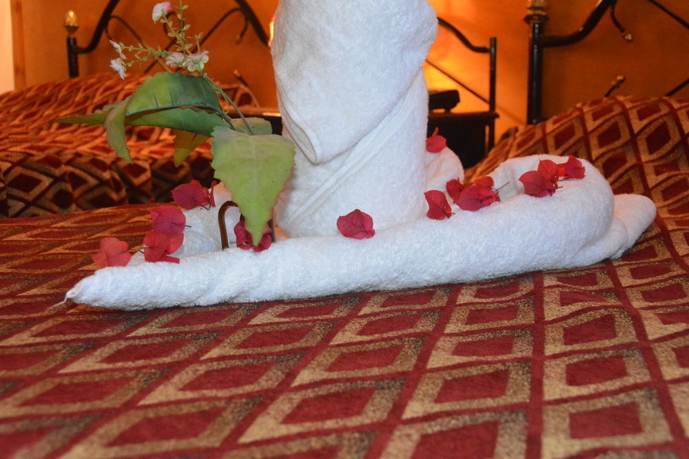 El Gezira Garden Hotel לוקסור מראה חיצוני תמונה